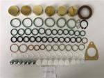 2417010021 Diesel Fuel Pump Repair Kits 800718 Diesel Engine Parts
