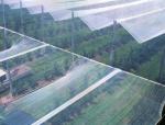 HDPE PE Material Anti Frost Net For Fruit Protection Length 50m 120m