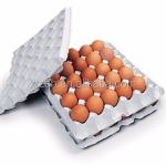 Pulp Molding Egg Box Forming Machine 100KW Waste Paper Recycling