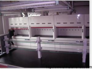 Wholesale SGS Practical Laboratory Fume Cupboard Cabinet Corrosion Resistant from china suppliers