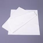 240g 2 Ply Cleanroom Wipers 9x9 Inch Pharmaceutical Sterile Lint Free Wipes