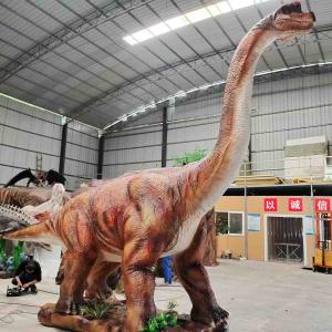 Wholesale Custom Realistic Dinosaur Costume For Entertainment Equipment from china suppliers