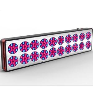 Wholesale China top ten selling orchids seedlings full spectrum apollo20 led grow lights 1200w from china suppliers