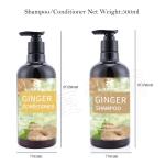 Ginger Shampoo For Hair Growth Anti Hair Loss Anti Dandruff Private Label