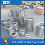 Pn6-100 Forged Stainless Steel Flanges Neck Welded Duplex Steel Flanges National
