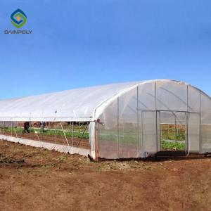 Wholesale 200 Micron Film Tomato Plastic Tunnel Greenhouse Single Span from china suppliers