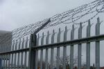 Factory Price Hot Dipped Galvanized European Palisade Fence For Tower