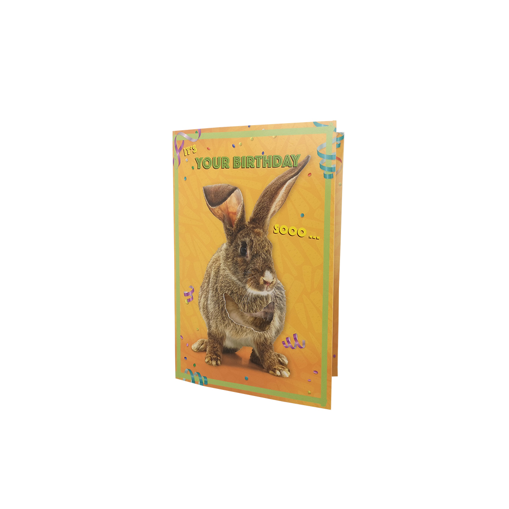 OEM Happy Birthday Musical Greeting Card Glossy Lamination