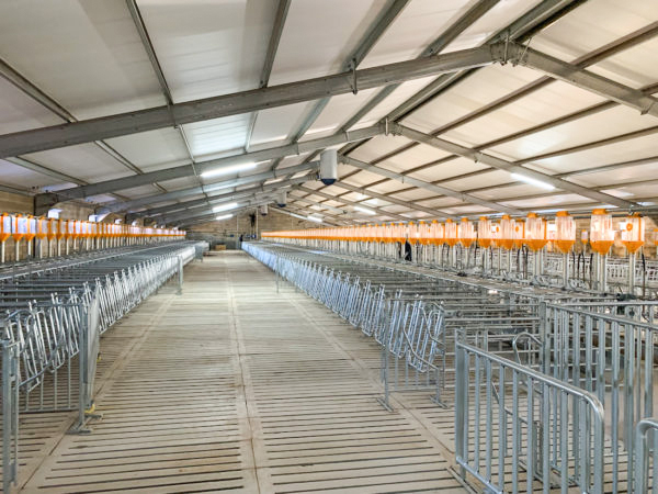 Painted Prefabricated Cow Shed Steel Structural Fabrication Construction For Horse Stable