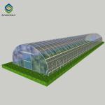 150 Micro PE Film 4m Single Tunnel Greenhouse For Flowers