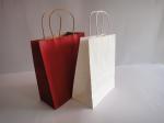 Embossed Printing Paper Bag 250gsm Printed Paper Carrier Bags