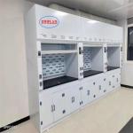 Low Noise Chemical Fume Hood PP Fume Hoods - Voltage 220V White Color