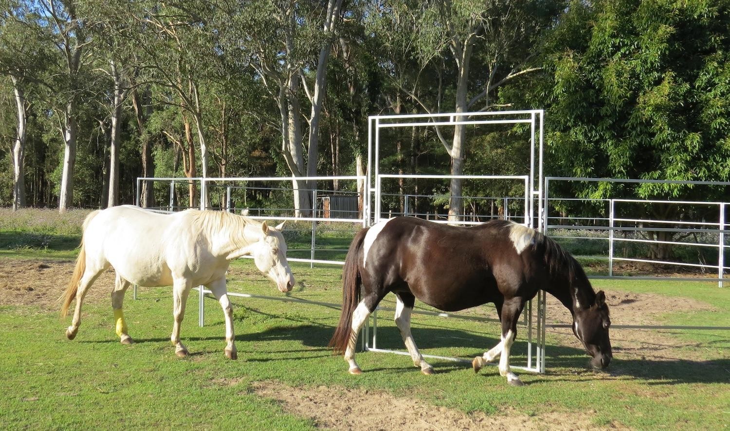 12m Diameter Horse Arenas 17Pcs incl. 3m tall Gate Locking Pins. Victoria