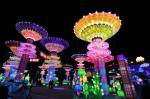 RGB 63mm Amusement LED Lamp DC12V Outdoor Christmas Lights