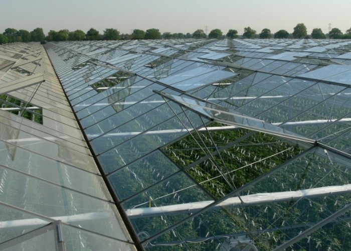 Water Production Agricultural Greenhouse Manufacturer Growing Hydroponic System Rooling Bench System