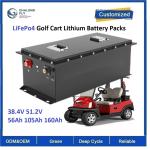CLF OEM ODM Rechargeable LiFePo4 Golf Cart Lithium Battery Packs 38.4V 56Ah