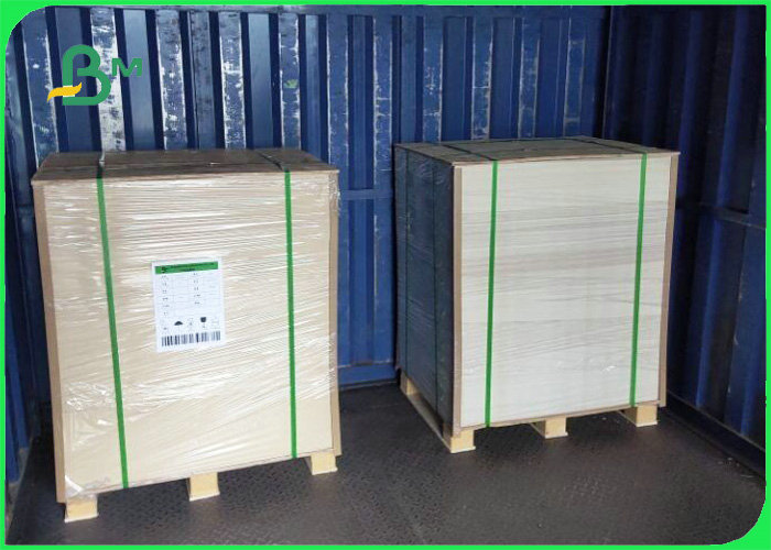 synthetic paper 