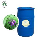 Lithospermum Borage Essential Oil Cold Press Skin Ulcers Treatment