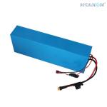 Rechargeable Lithium Ion Electric Bicycle Lithium Battery Phylion Akku Xh25910j