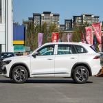 Closed Monjaro L Gasoline Petrol SUV Car 5 Seats 215km/H 2WD 2500-3000mm Wheel