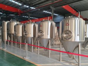 Wholesale 20BBL Microbrewery 20HL Brewery Fermentation Tanks from china suppliers