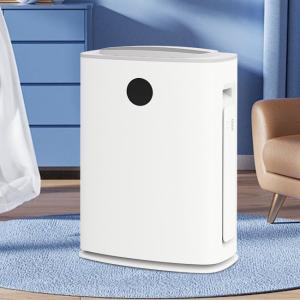 Wholesale Quiet Hepa Air Purifier Dehumidifier Air Purifier 2 IN 1 Household Appliances from china suppliers