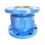 Hot Sealing Globe Style Silent Check Valve Dn100 Pn16