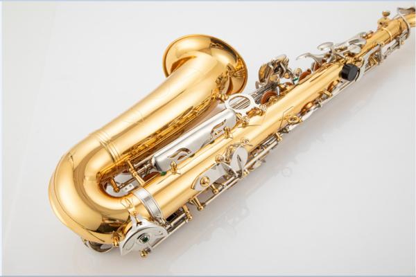 constansa brand saxophone Alto Saxophone E-flat Saxophone Professional Learning