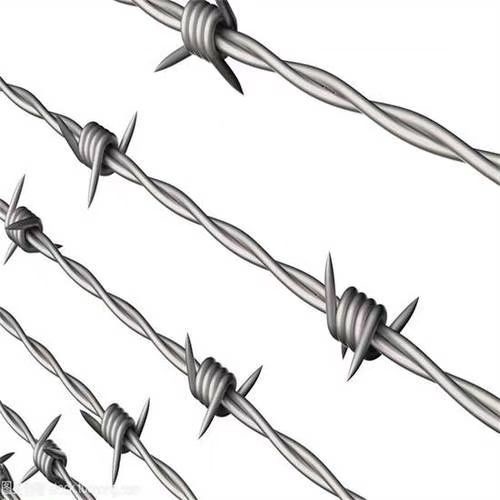 Moderate Stainless Steel Mesh with 1 635 Mesh Count and Mill Edge / Slit Edge