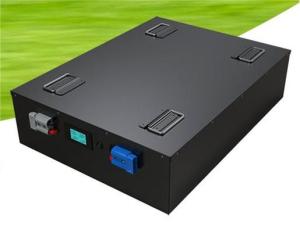 Wholesale 48 Volt 80ah 100ah Lithium Iron Phosphate Battery Intelligent 6000 Times Cycle Life from china suppliers
