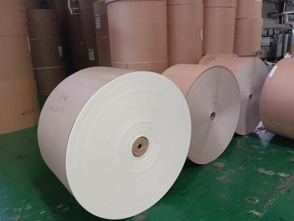 120mm PE Coated Paper Roll Used For Food Grade Hot Cups Custom Printing