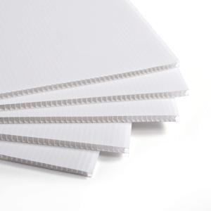Wholesale Polypropylene Corflute Sheet Customized Recycled Rigid Corrugated Plastic Sheet from china suppliers