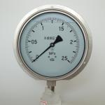 2.5Mpa 160mm All Stainless Steel Pressure Gauge Flange Panel Mount