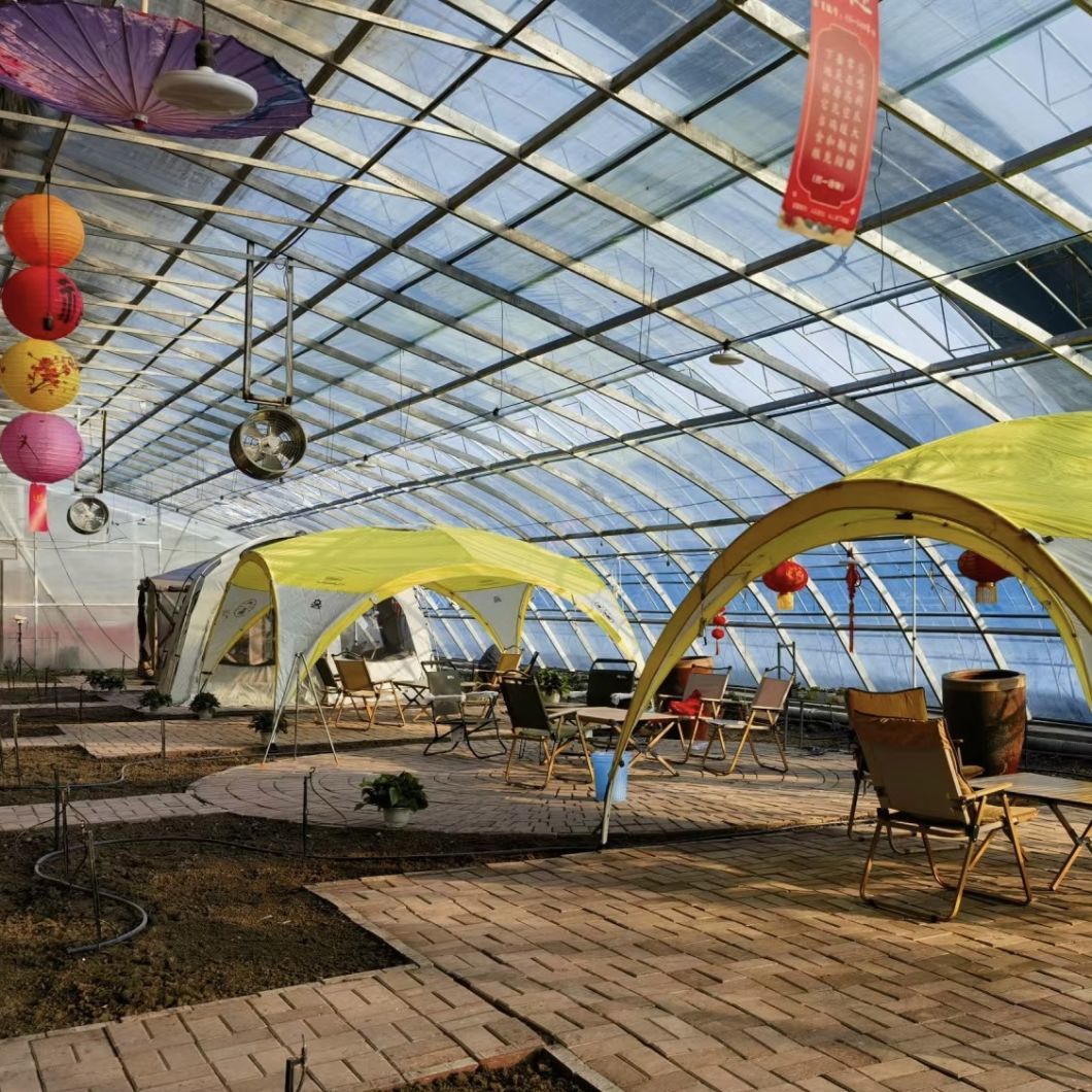 Vegetable Strawberry Flower Sunlight Greenhouse