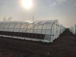 2.5-5M Height Tomato Hydroponic High Tunnel Agriculture Greenhouse with Film