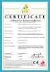 Guangdong Dapeng Amusement Technology Co., Ltd. Certifications