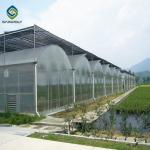 Multi span pc greenhouse Sainpoly agricultural greenhouse invernadero polycarbon