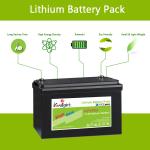 4000 Times 100ah 12v Deep Cycle Lifepo4 Battery Lithium for Home Appliances