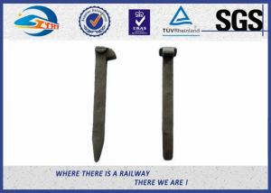 Wholesale Plain Surface 5.6 Grade Carbon Steel Railroad Track Spikes For Australian Market from china suppliers