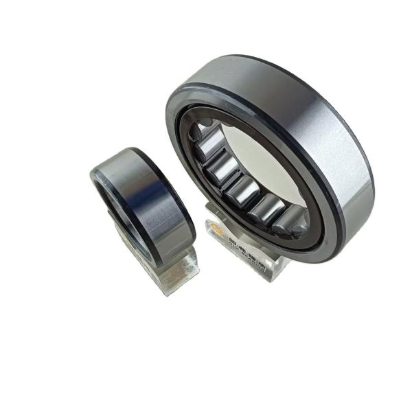 Building Material Shops NU/NJ/NF311ECP Cylindrical Roller Bearing Long Life 55