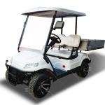 35mph Two Seat EV Blue Golf Car Electric Buggy Road Legal With All Terrain Tires