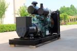 Affordable 150kw 200kw Biogas Natural Gas Generator with Electrical Start and