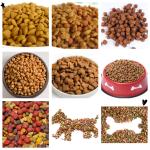 201 Staineless Full Automatic Pet Food Making Machine , Dog Food Extruder
