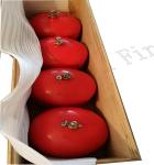 Residential Round Fire Safety Equipments - Excellent Performance