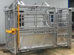 Blue Colour Painting Australia Standard Vet Cattle Crush Painting