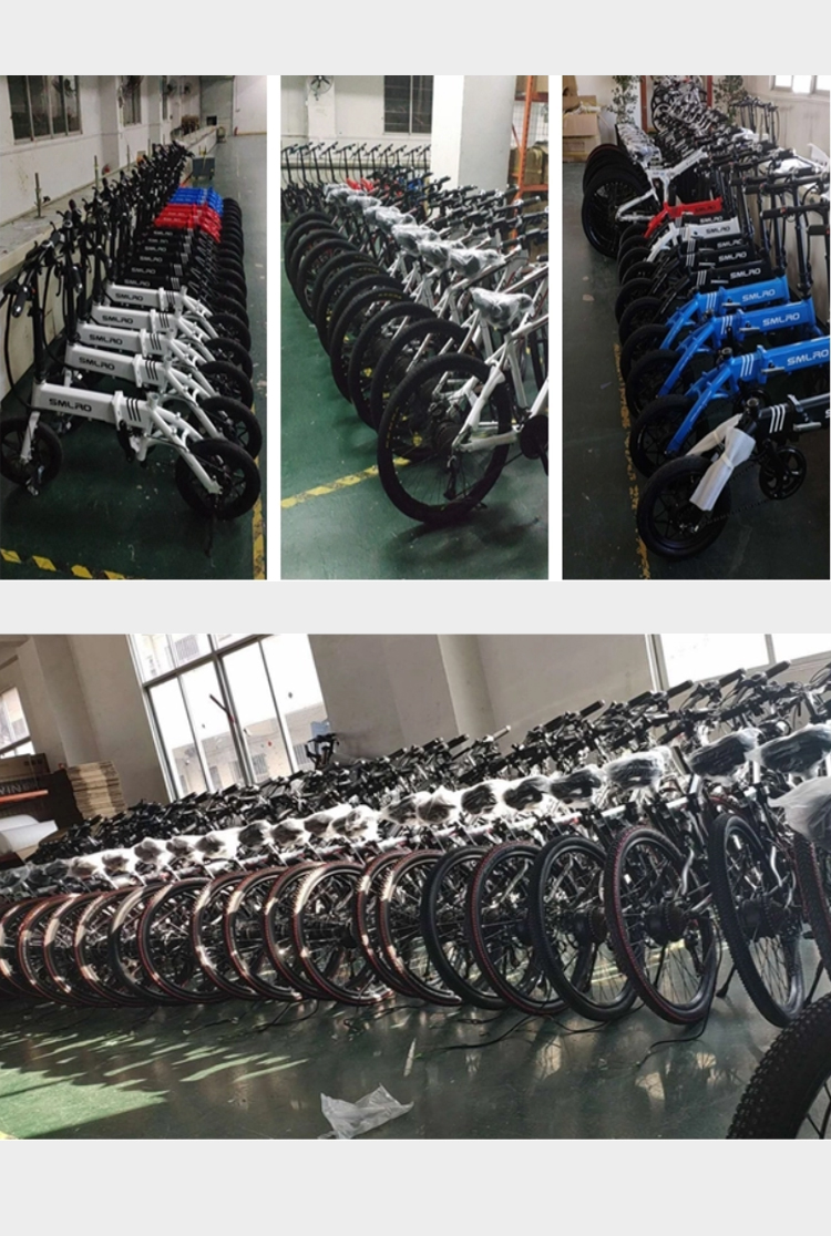 C6 Popular Electric Bikes Aluminum Alloy Frame With CE Certificate