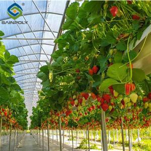 Wholesale Single Span Commercial Greenhouse Kits Plastic Film Tunnel Greenhouse Stable Structure from china suppliers