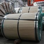 Customize Accept Strip Stainless Steel Coil Seamless Alloy Steel Pipe for