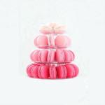 OEM Clamshell 4 Tier Macaron Tower Display Stand For Cake Decoration