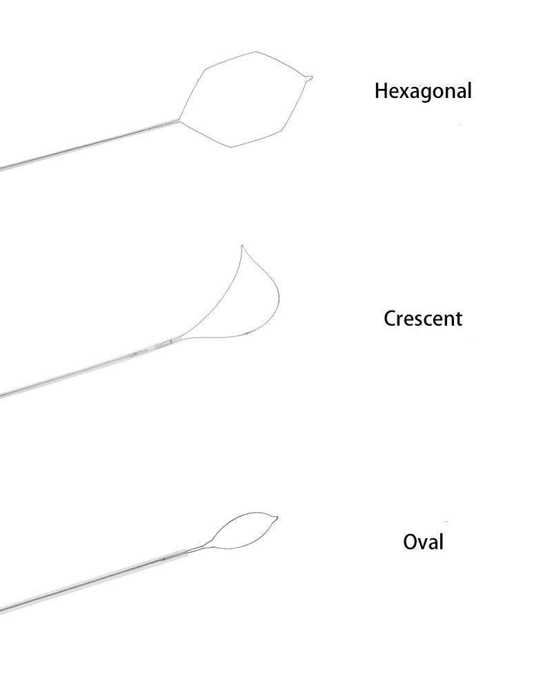 Hot Selling Disposable Polypectomy Snare for Polyp Retrieval